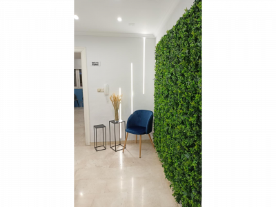 ENTRADA